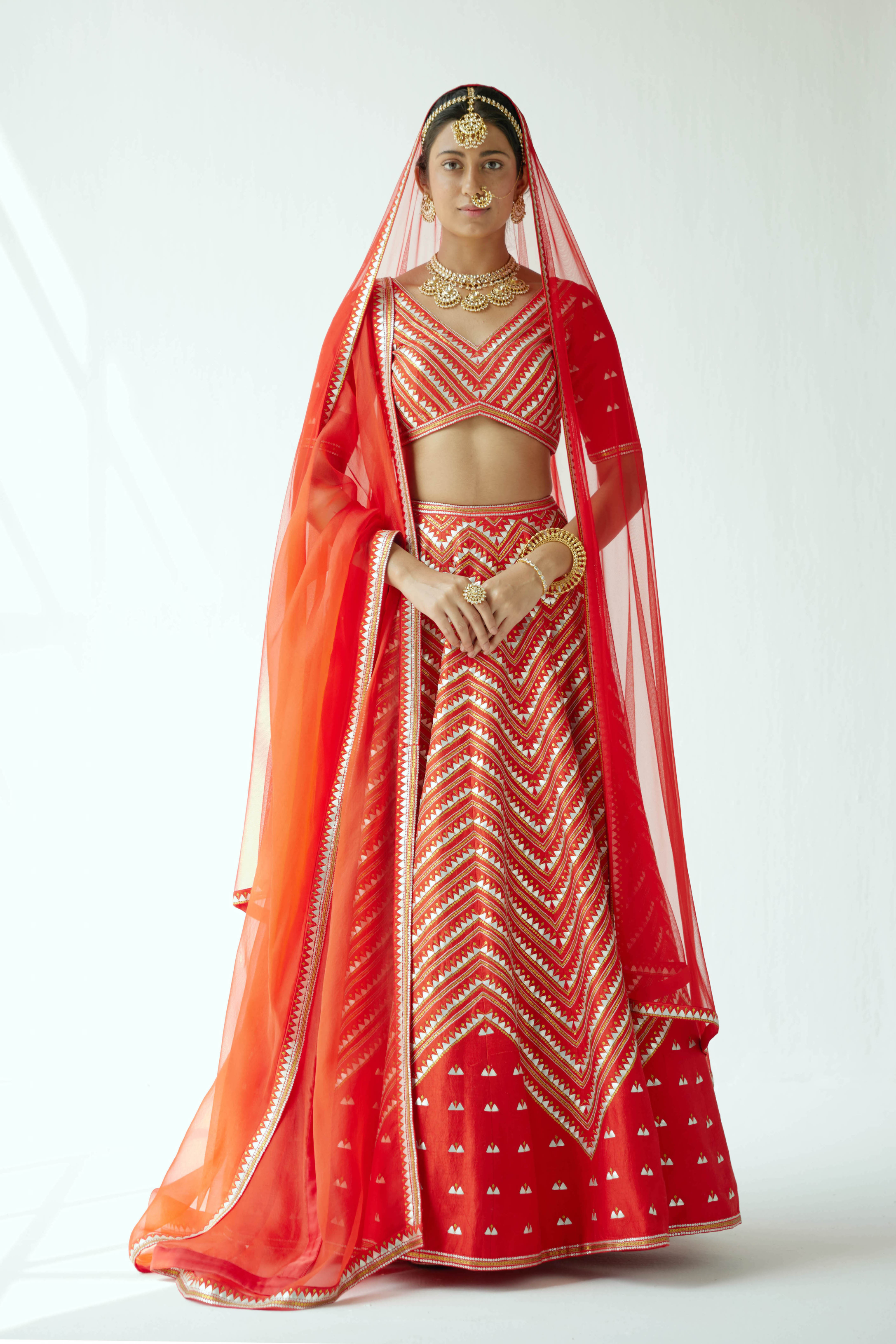 Overall Chevron Hill Motif Lehenga Set