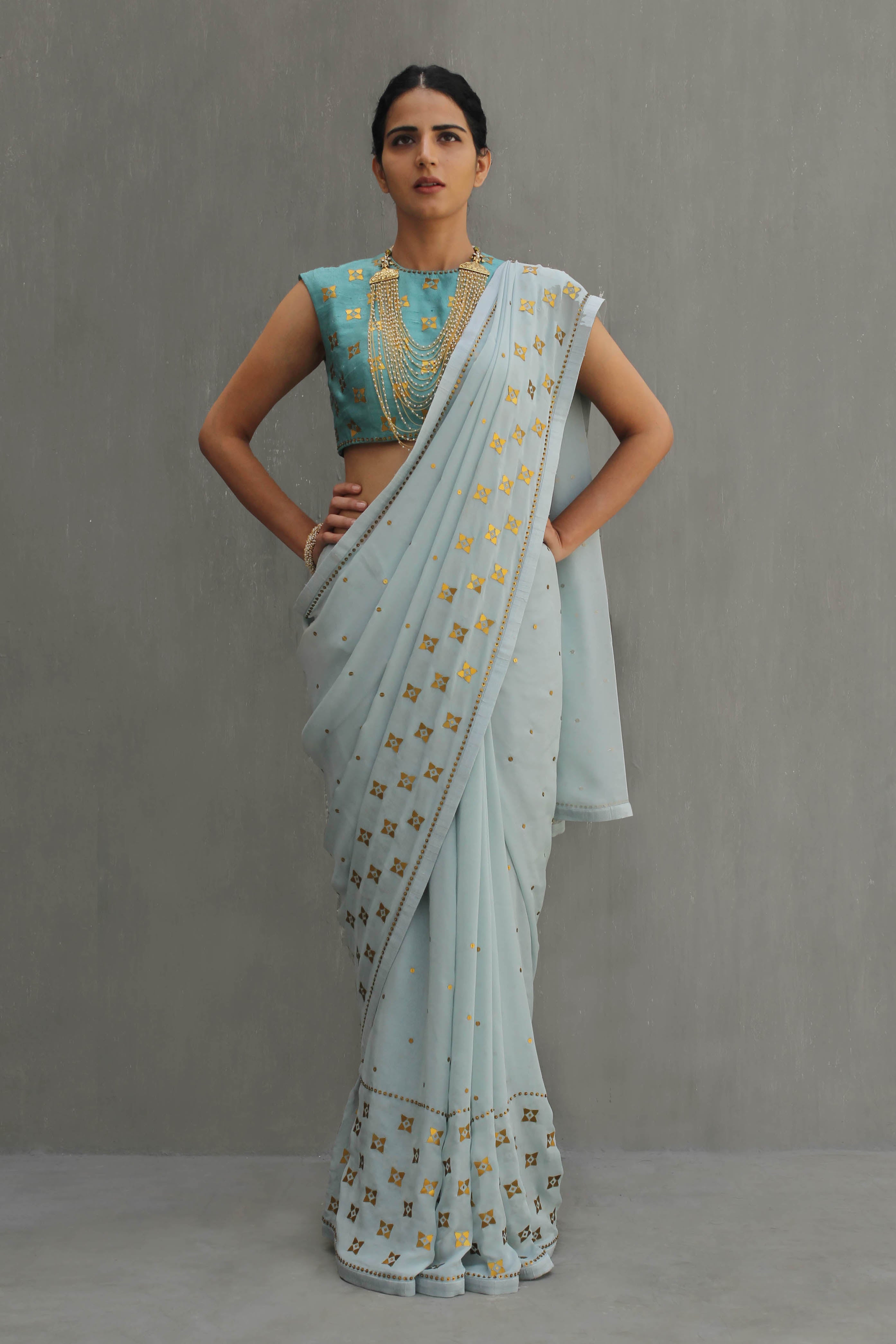 Four-Petal Floral Panel Saree