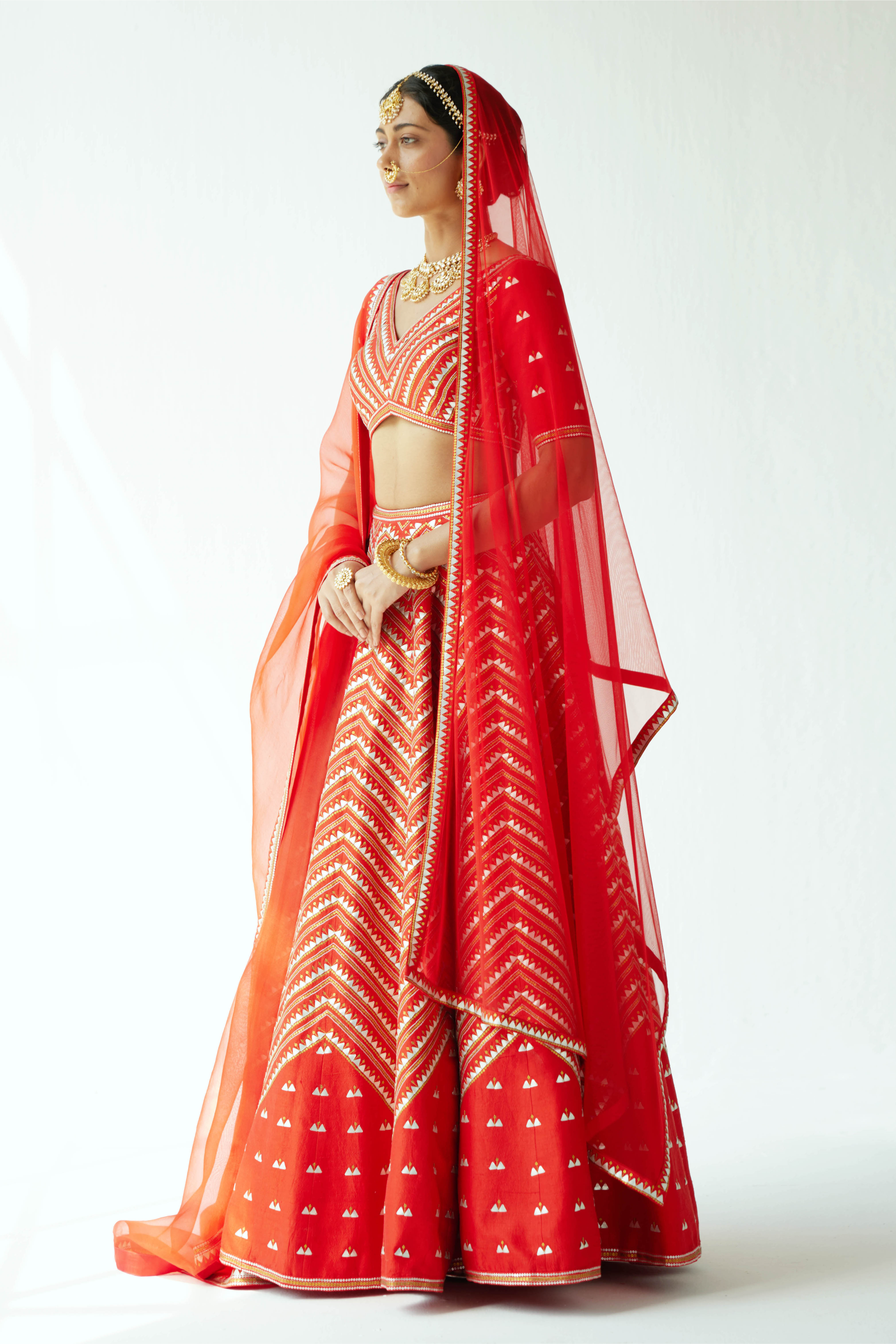 Overall Chevron Hill Motif Lehenga Set