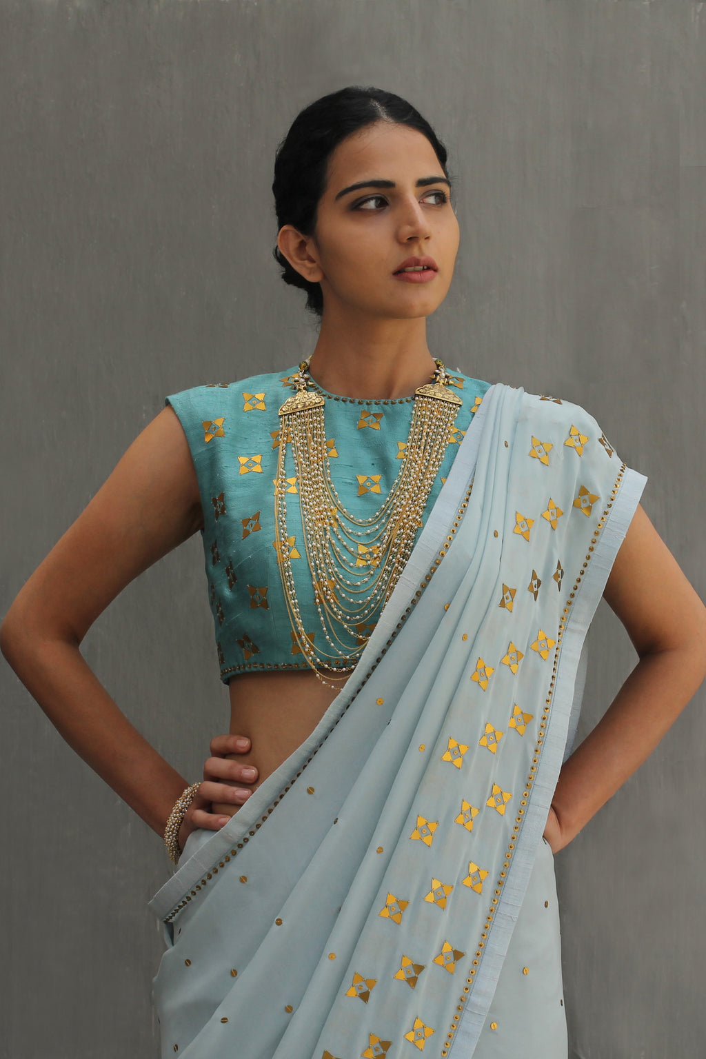 Four-Petal Floral Panel Saree