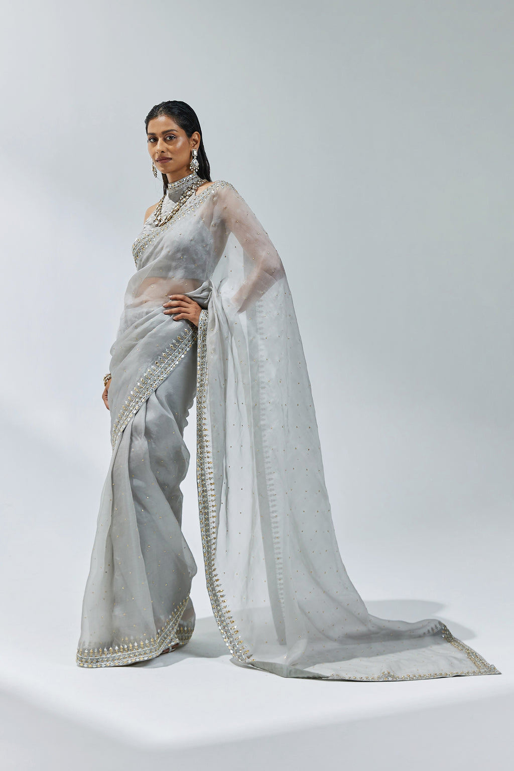 Gota-Patti Border Organza Saree Set