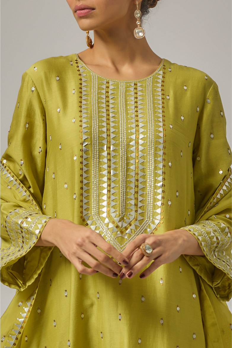 Fence Yoke Kurta Set